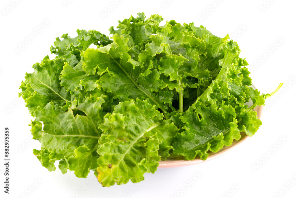 kale leafy vegetable closeup on white background. kale leafy vegetable closeup on white background.