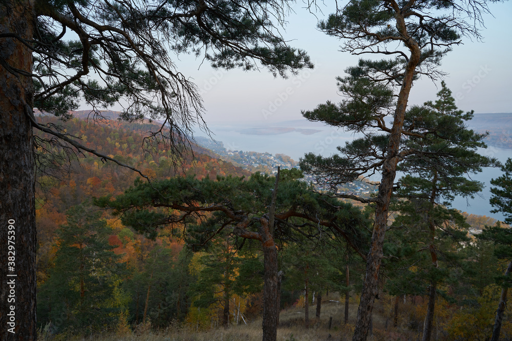 Obraz premium Autumn view from the mountain to the big river, in the forest with Golden leaves and green fir trees. Autumn time in the forest.