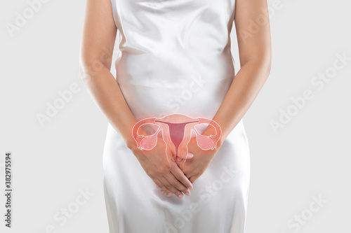 Wallpaper Mural Illustration of the uterus is on the woman's body Torontodigital.ca