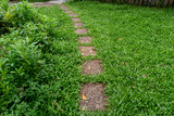 A rough brown pathway in the grass garden.