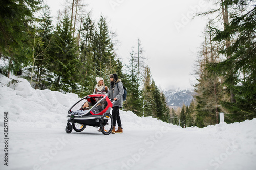 Father and mother with two small children in trailer in winter nature, walking in the snow.