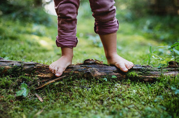 Bare feet of small child standing barefoot outdoors in nature, grounding concept.