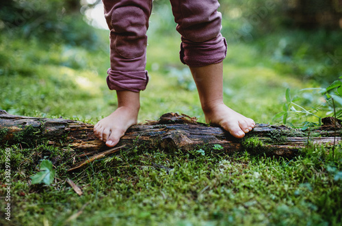 Bare feet of small child standing barefoot outdoors in nature, grounding concept. photo