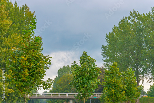 Green trees in a windy rainy city in spare sunlight under a grey white cloudy sky in autumn, Almere, Flevoland, The Netherlands, October 4, 2020