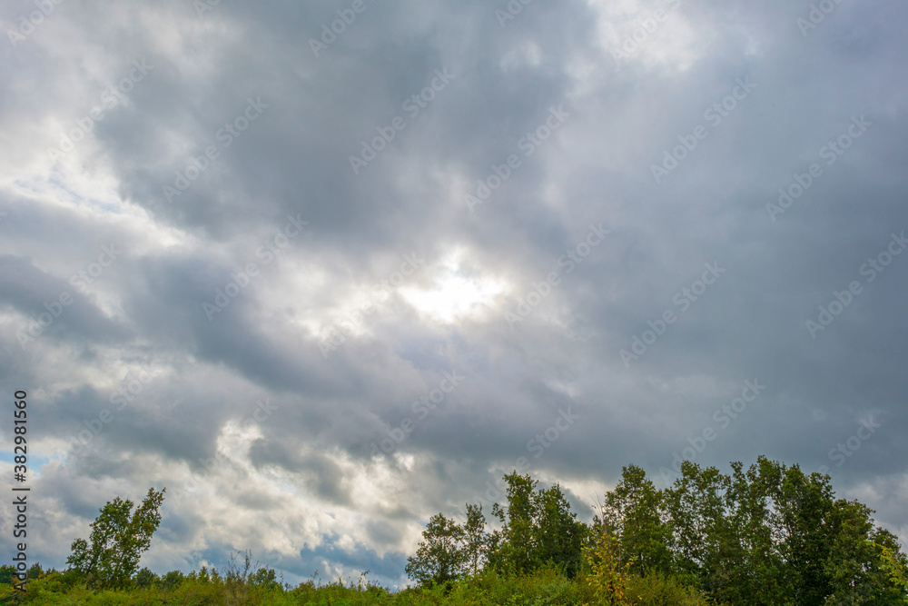 The edge of a lake in a green windy rainy wetland in spare sunlight under a grey white cloudy sky in autumn, Almere, Flevoland, The Netherlands, October 4, 2020