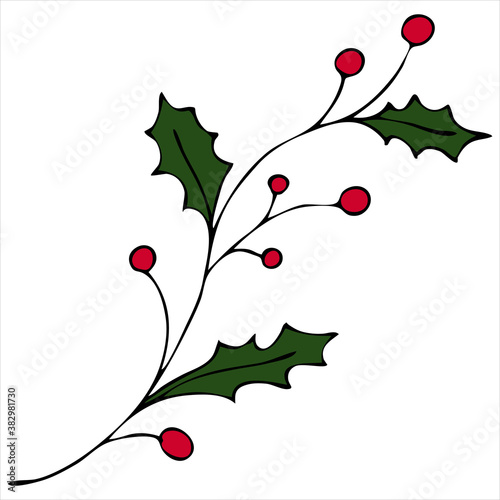 holly sprig with berries, doodle style vector element, christmas symbol