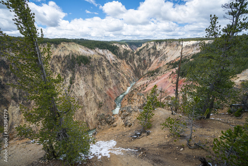 grand canyon of the yellowston from the north rim, wyoming, usa