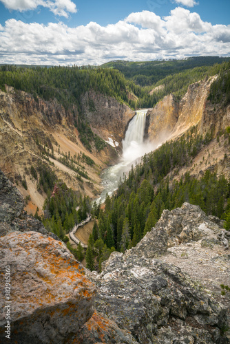 lower falls of the yellowstone national park  wyoming  usa