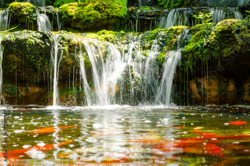 Fototapeta Naklejka Na Ścianę i Meble -  beautiful garden waterfall in the outdoor