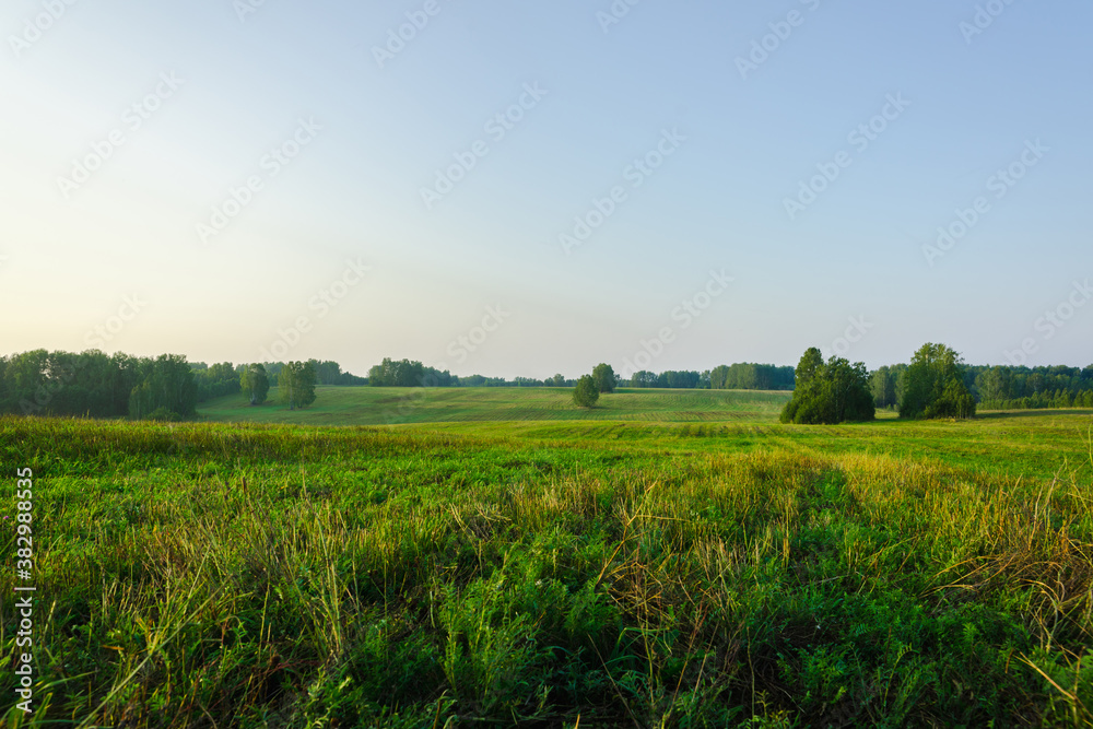 Morning light on the green summer field. Summer landscape.
Morning light on the green summer field. Summer landscape.