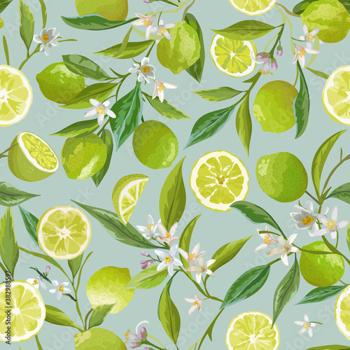 Lime Seamless Pattern. Citrus Fruit Vector Illustration Background. Floral Vintage Romantic Garden Print, Texture