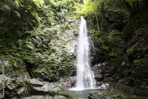 払沢の滝