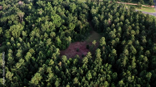 Aerial view of a clearing or meadow in the middle of a woodland forest across the street from a pecan orchard in the rural countryside at sunset