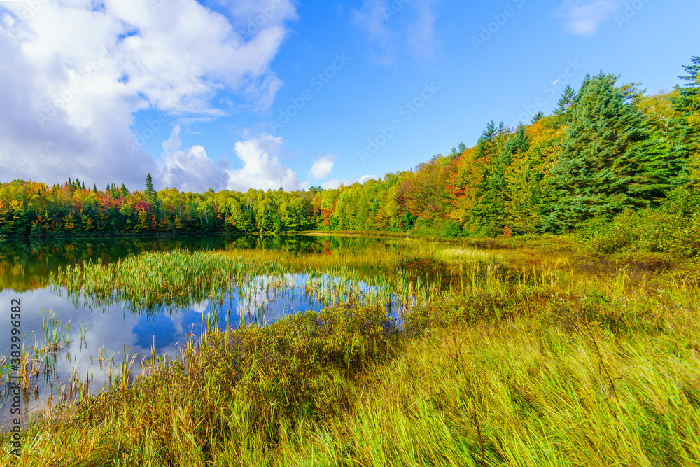Lac Coutu, with fall foliage colors in Saint-Donat, Laurentian Mountains Lac Coutu, with fall foliage colors in Saint-Donat, Laurentian Mountains
