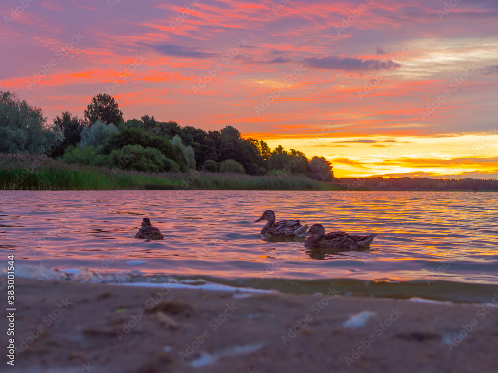 Evening On Lake