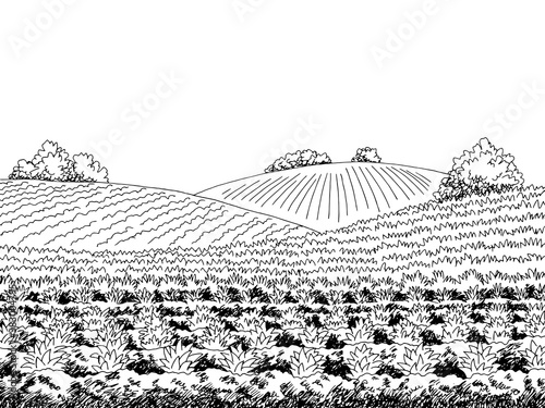 Field agriculture graphic black white landscape sketch illustration vector