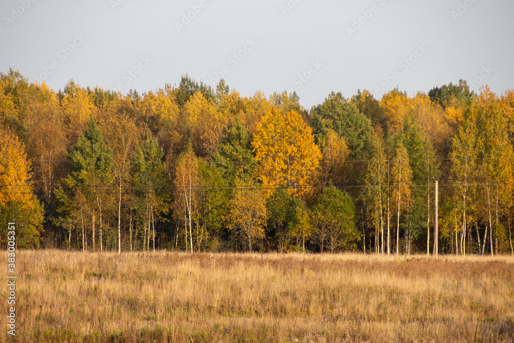 A beautiful picture of the landscape on the autumn evening. A beautiful picture of the landscape on the autumn evening.
