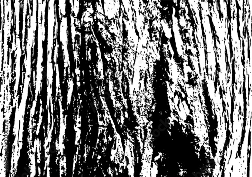 Tree trunk grain wood grain texture mottled abstract vector black and white monochrome material background forest situation tree trunk tree root sky up shot
