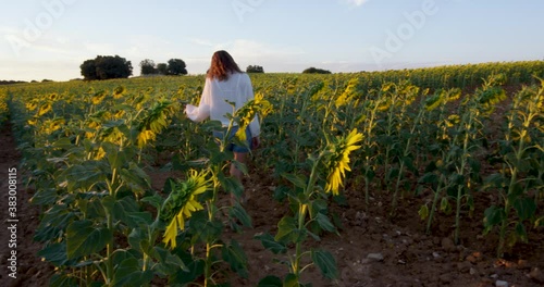 Wallpaper Mural Wanderlust - Happy Young Woman Exploring Beautiful Sunflower Field Torontodigital.ca