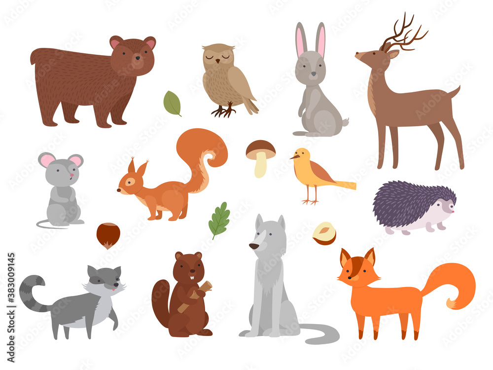 Wood animals. Cute wild characters in forest fox owl bear wolf vector animals in flat style. Owl and fox, wolf and hedgehog, character squirrel and deer, raccoon and bunny illustration