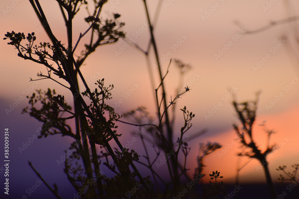 Obraz premium sunset in the mountains
