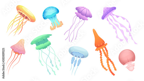Jellyfish. Underwater wild animals beautiful colored group of jellyfishes vector. Illustration jellyfish wildlife, underwater sea animals