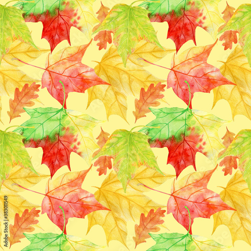Hand painted watercolor pattern "Fall" with maple and oak leaves