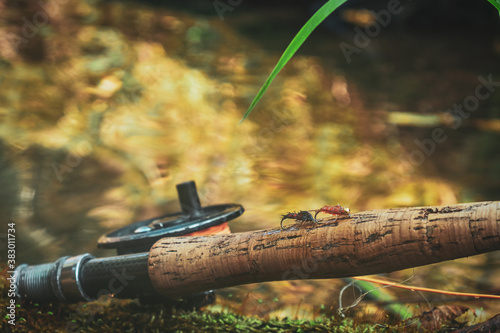 Nymph. Fly fishing fly.