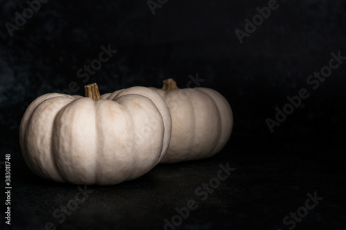 White pumpkins on a dark background. 2 white pumpkins. Halloween. Autumn harvest