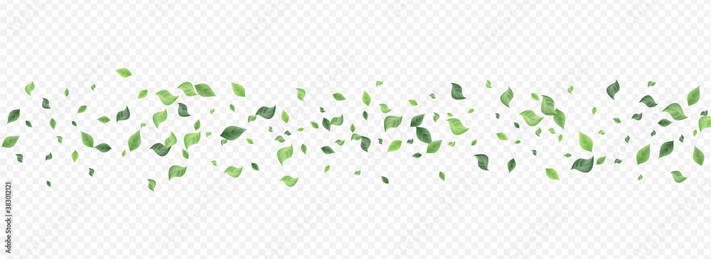 Forest Leaves Herbal Vector Panoramic Transparent Forest Leaves Herbal Vector Panoramic Transparent