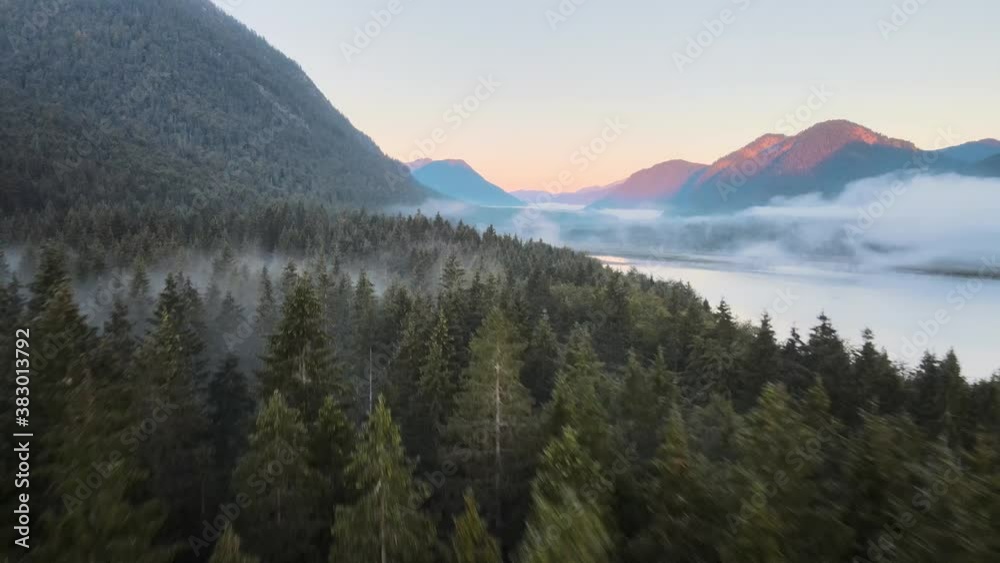 Aerial shot of a pine tree forest covered by fog and a magical mountain lake at sunrise Aerial shot of a pine tree forest covered by fog and a magical mountain lake at sunrise