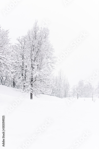 Brunico under a heavy snowfall. Scent of snow. Italy