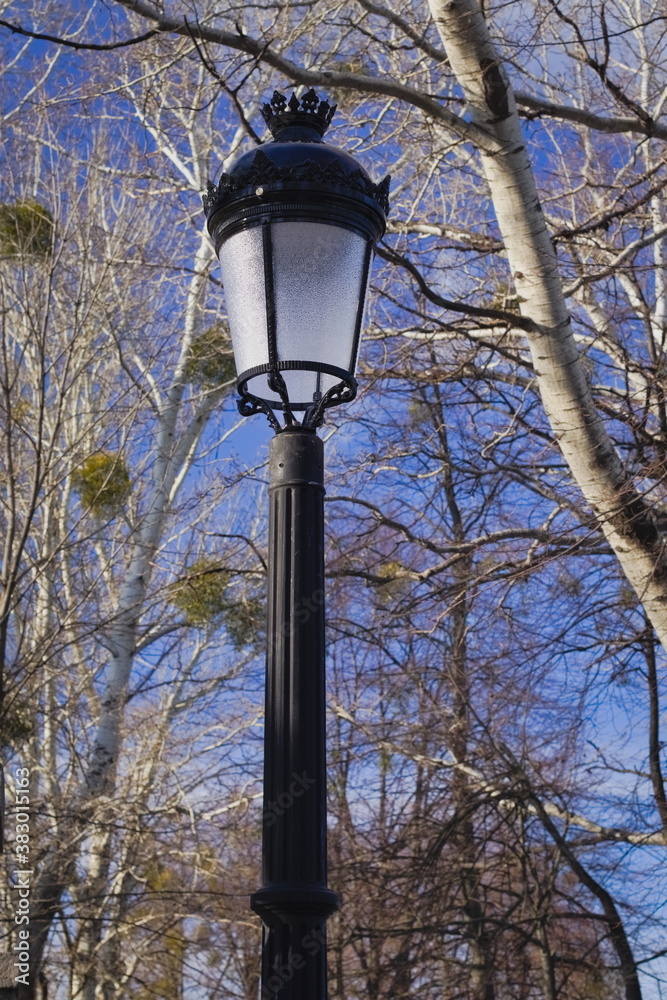 The metal lamppost in the park. Ancient black metal lantern among the trees in the park The metal lamppost in the park. Ancient black metal lantern among the trees in the park