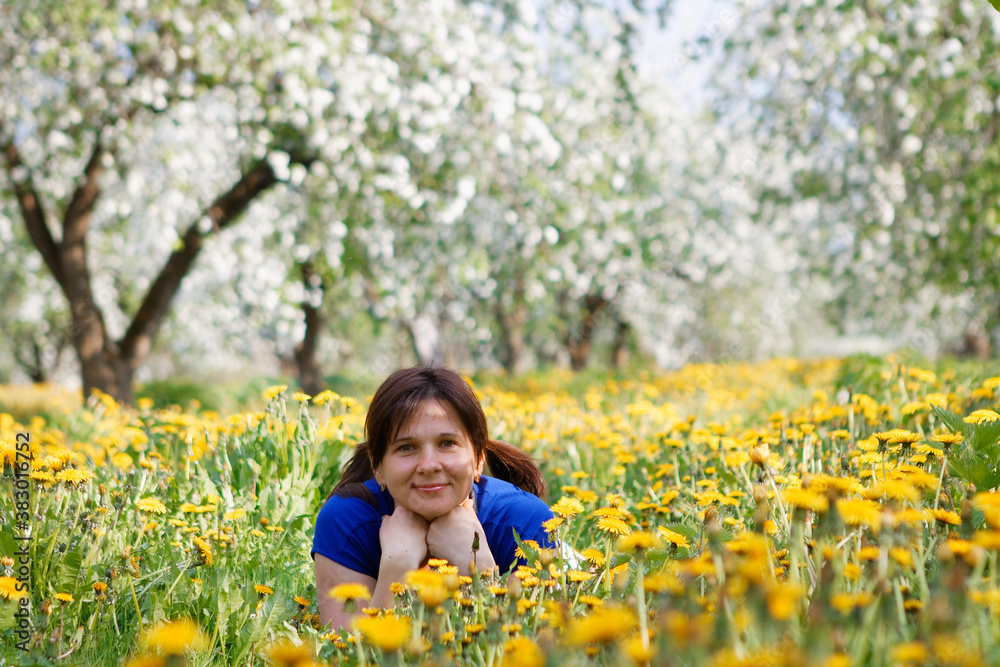 woman in apple orchard in blossom and dandelion field woman in apple orchard in blossom and dandelion field