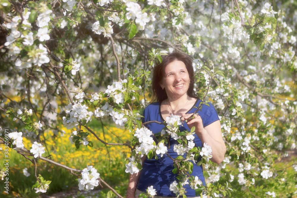woman in apple orchard in blossom and dandelion field woman in apple orchard in blossom and dandelion field