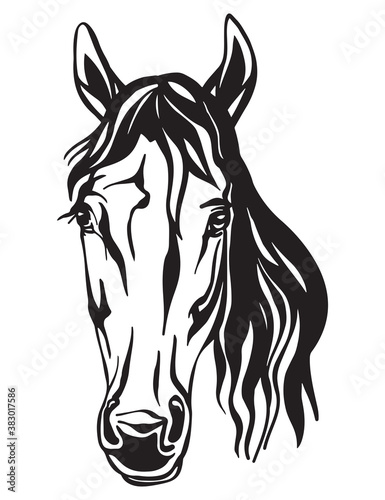 Fototapeta Naklejka Na Ścianę i Meble -  Beauty portrait of line black contour horse