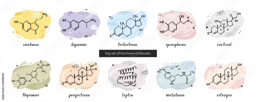 Big set with molecules of the hormones serotonin, dopamine, testosterone, endorphin, cortisol, thyroxine, progesterone, leptin, melatonin, and estrogen on an abstract background. Vector illustration.