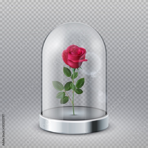 Rose in glass dome. Isolated beautiful red flower under transparent flask. Fairy tale symbol, beauty interior decoration vector illustration. Rose bloom under glass, flower in flask dome