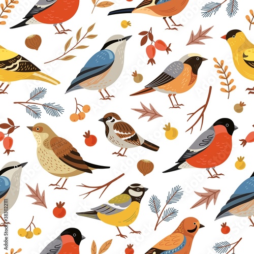 Forest winter birds pattern. Forest animal background, flat snowy tree branches. Holiday bullfinch leaves berries, wildlife vector texture. Seasonal drawing pattern, wild winter birds illustration
