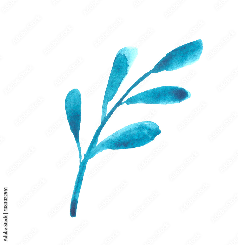 Hand drawn watercolor Twig of green-blue color on a white background.. For design, decoration of posters, business cards, invitations