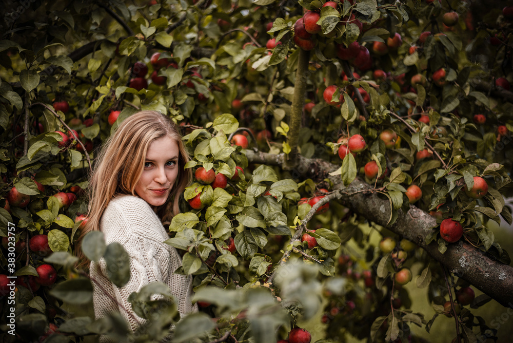 Playful outdoor portrait of blonde smiling woman in cozy sweater posing between branches full of red apples