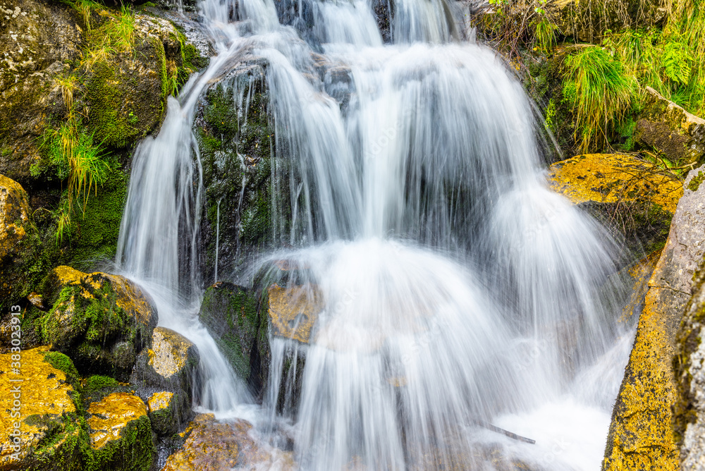 Obraz premium Wild Forest Waterfall