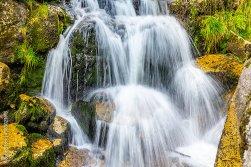 Wild Forest Waterfall