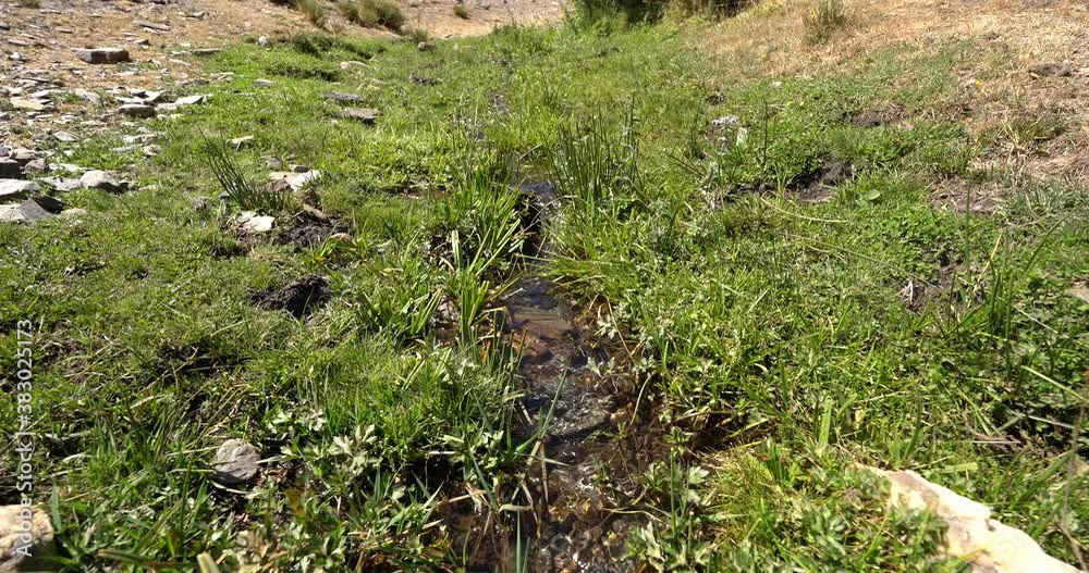 water flowing down a stream in southern Spain, there is abundant green grass on the ground water flowing down a stream in southern Spain, there is abundant green grass on the ground
