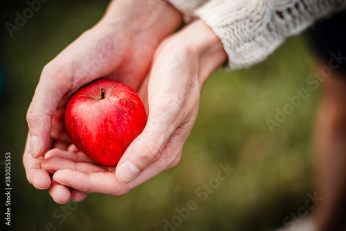 Detail photo of fresh red apple in woman's hands