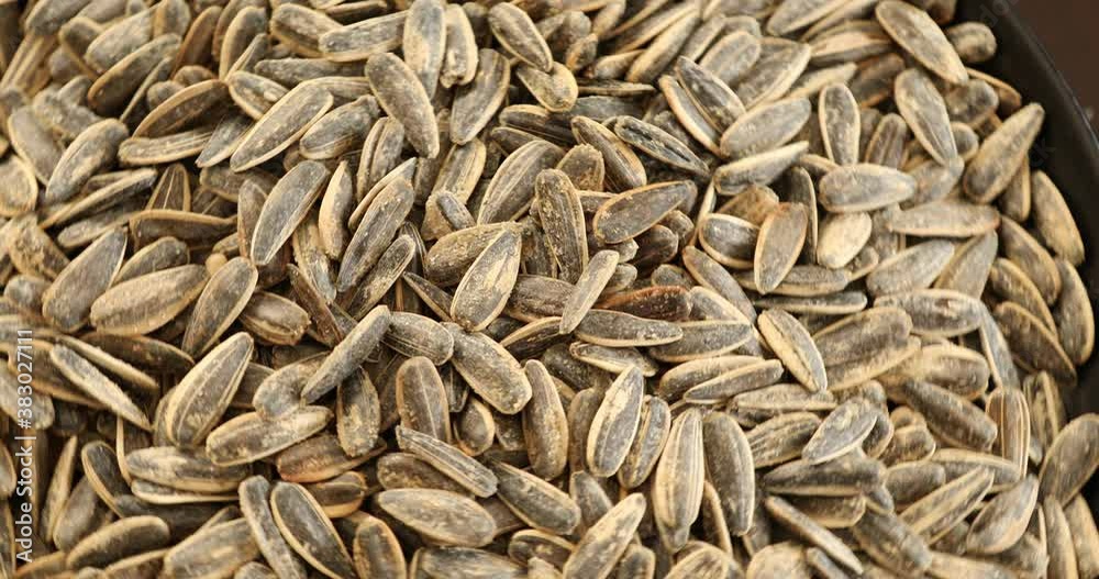 Macro View Of Salted Sunflower Seeds Macro View Of Salted Sunflower Seeds