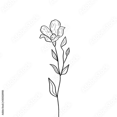Beautiful monochrome line floral illustration on white background. Hand-drawn flower. Design greeting card and invitation of holiday. Line art raster illustration.
