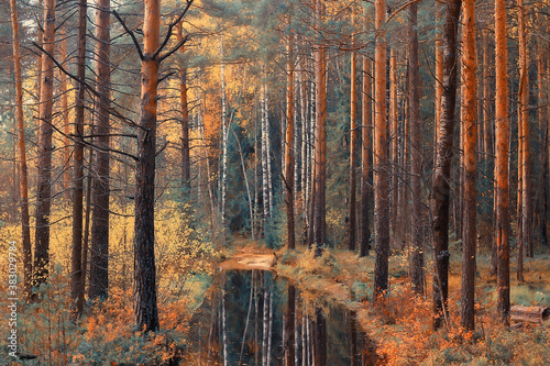 golden autumn forest landscape, mixed forest view, taiga, nature in october