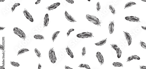 Feather Pattern hand drawn illustration  © oldesign