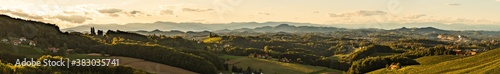 Sunset panorama of wine street in Styria. Fields of grapevines. © Przemyslaw Iciak